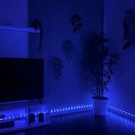N3 *